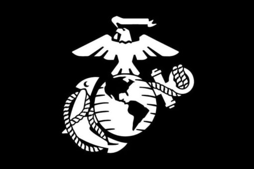 Marine father’s salute to son goes viral: report