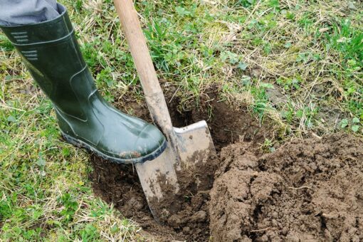 TikTok user digs for ‘treasure,’ finds septic tank in own backyard