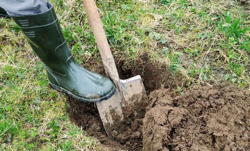 TikTok user digs for ‘treasure,’ finds septic tank in own backyard