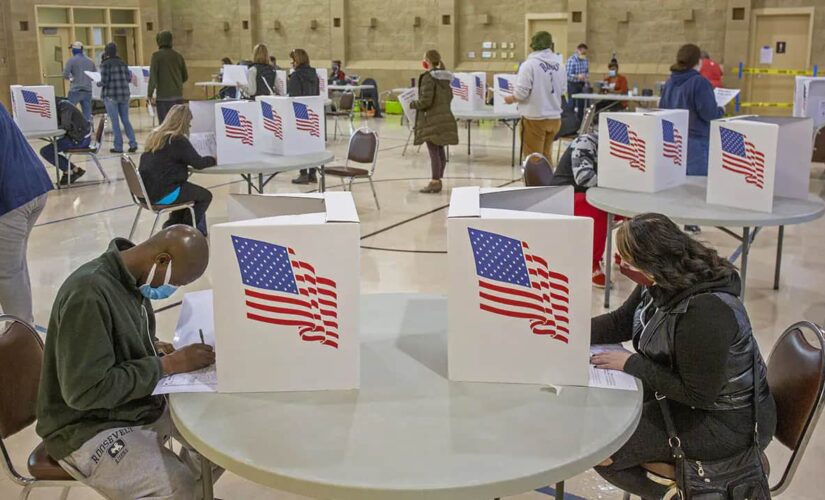 GOP groups throw support behind Georgia, Iowa election reform laws amid Dem lawsuits