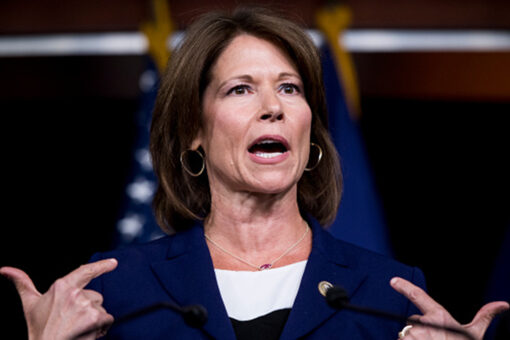Illinois Dem Cheri Bustos not running for re-election in competitive seat