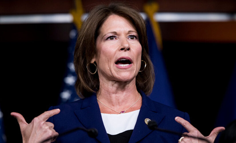 Illinois Dem Cheri Bustos not running for re-election in competitive seat