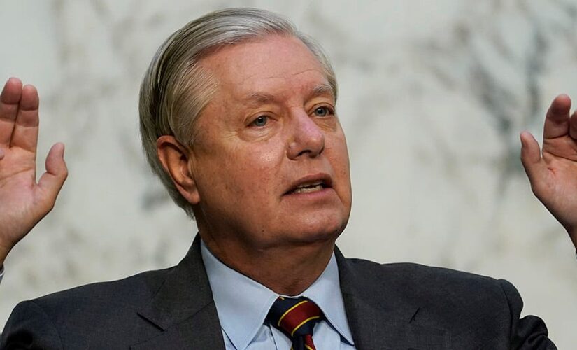 Sen. Graham slams Biden, Dems for court-packing attempt: They are ‘really drunk with power’