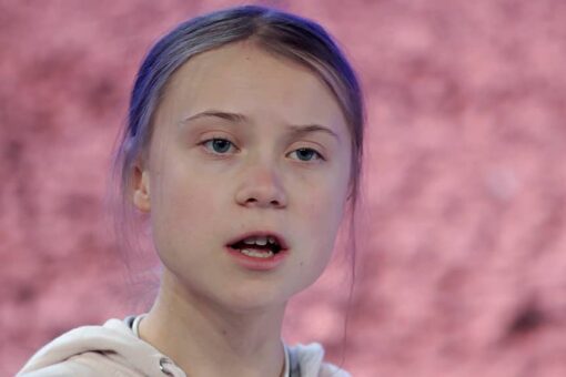 Greta Thunberg tells House panel fossil fuel subsidies are a ‘disgrace’