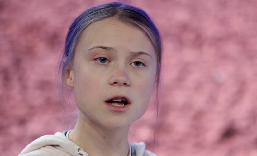Greta Thunberg tells House panel fossil fuel subsidies are a ‘disgrace’