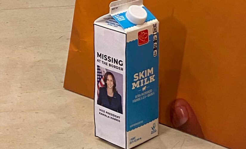 House Republicans display Kamala Harris milk carton at news conference: ‘Missing at the border’