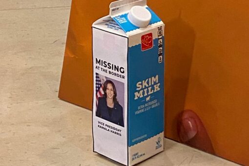 House Republicans display Kamala Harris milk carton at news conference: ‘Missing at the border’