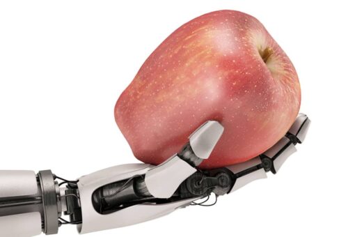 South Florida restaurant buys robots to fight staffing issues
