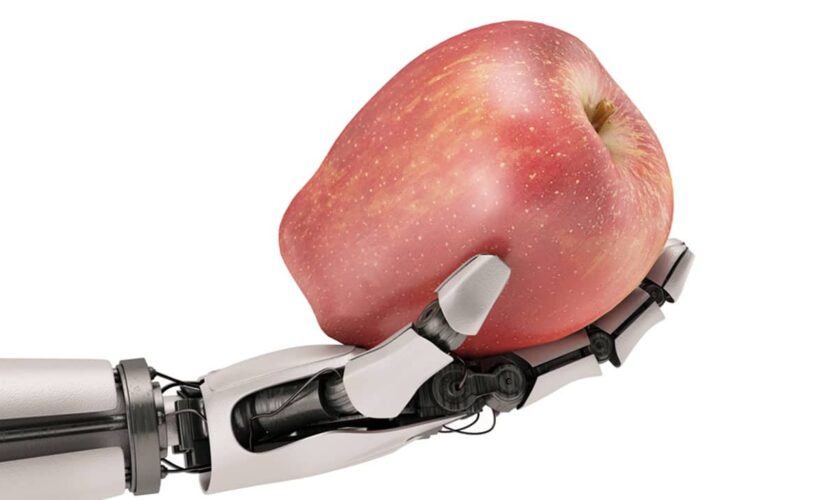 South Florida restaurant buys robots to fight staffing issues
