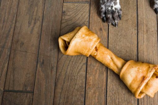 Dog owner finds threatening note and poisoned bone because the pet ‘barks too much’