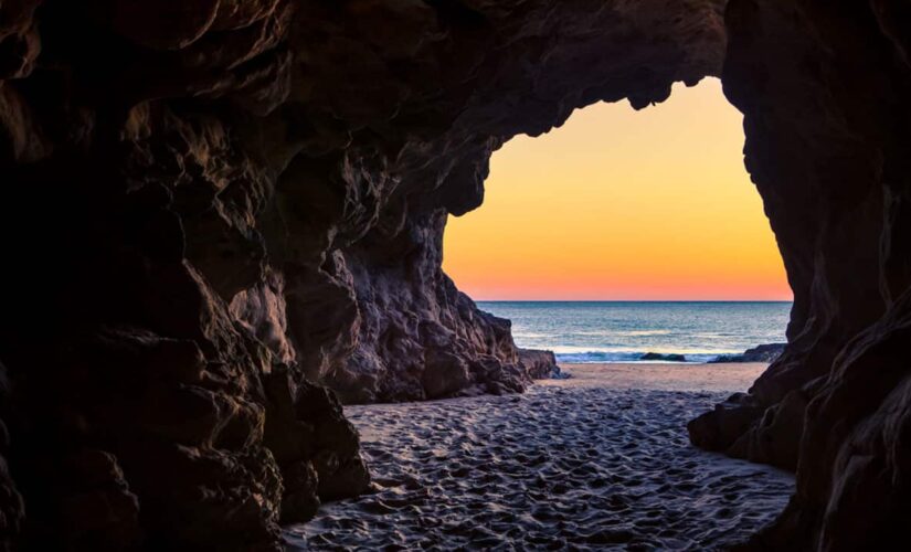 Beach goer goes exploring in cave, makes gross discovery