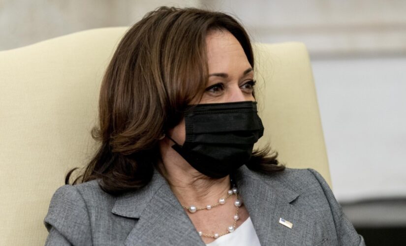 Adriana Cohen: Border chaos — Kamala Harris should be taking charge of Biden’s immigration crisis not hiding