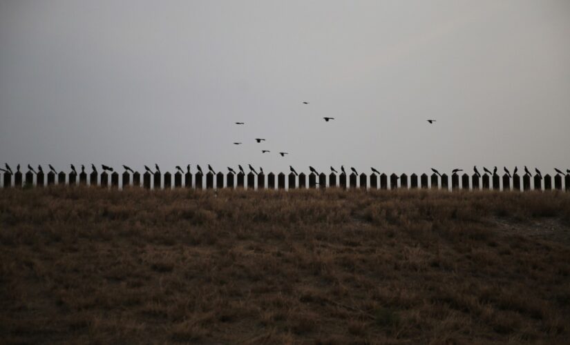 Pentagon cancels Trump-era border wall construction paid for by military funds