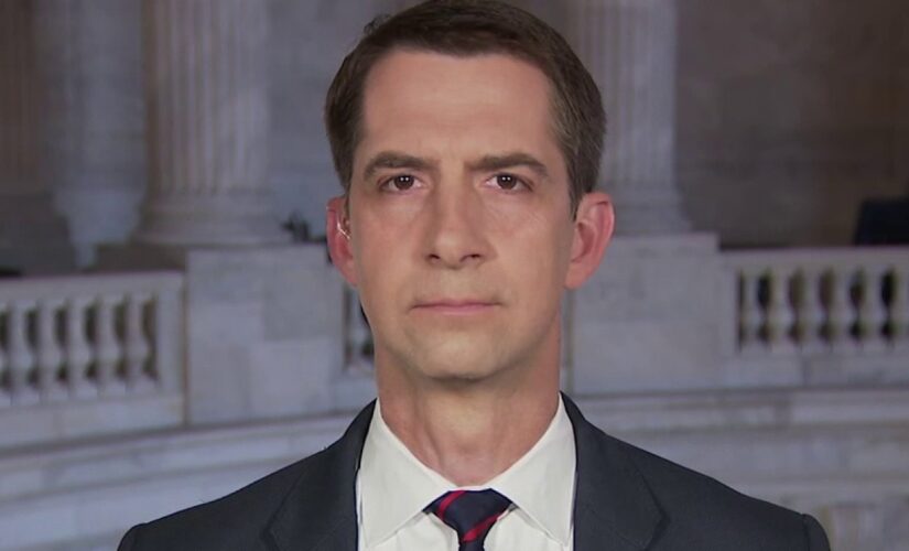 Cotton accuses Maxine Waters of trying to ‘fan the flames in the streets’ with ‘appalling’ rhetoric