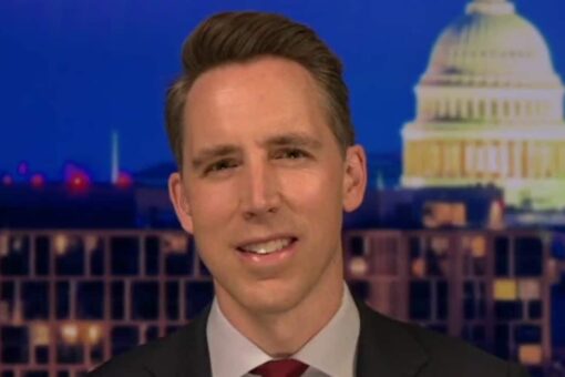 Josh Hawley reveals plans to break up big corporate power: ‘No corporation’ should control politics