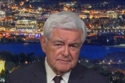 Blue states are ‘hemorrhaging people, shoving them away’ as Dems continue to raise taxes: Newt Gingrich