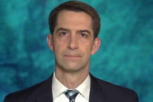 Cotton says Dems will do anything for power amid Supreme Court packing move