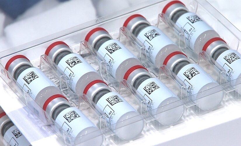 Brazil bans Russia’s Sputnik V COVID-19 vaccine due to carrying live cold virus: report