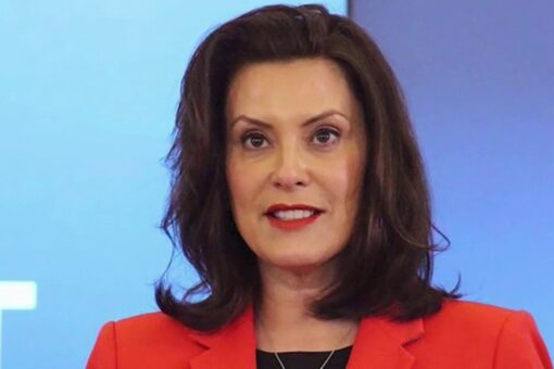 Whitmer seen in interview in front of Fauci pillow