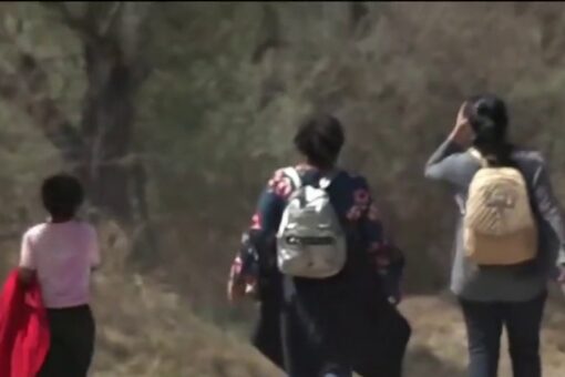 More than 1,300 migrant children are being held at coliseum where sexual abuse is alleged