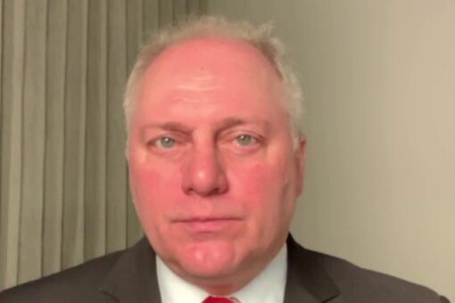 Scalise blasts Biden’s border policies, calling them ‘dangerous for kids’