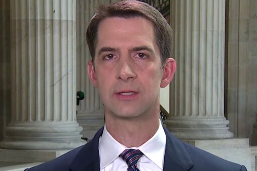 Tom Cotton on Iranian aggression towards US Navy: Joe Biden seems to be ‘trying to surrender’