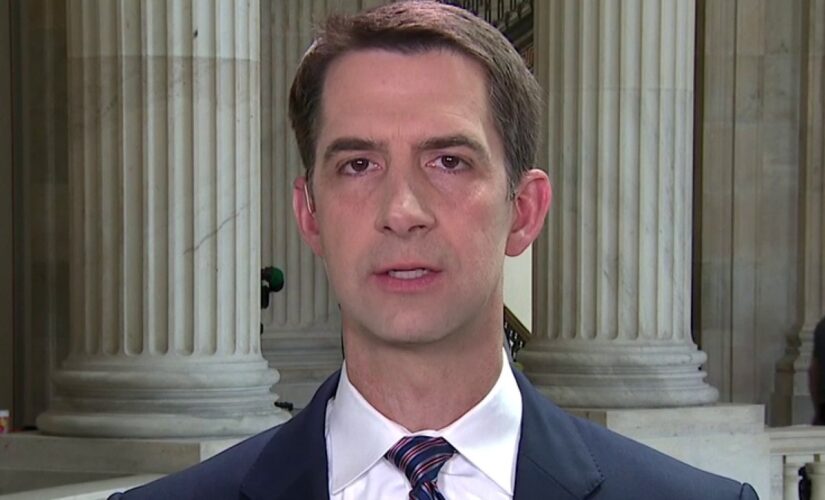 Tom Cotton on Iranian aggression towards US Navy: Joe Biden seems to be ‘trying to surrender’