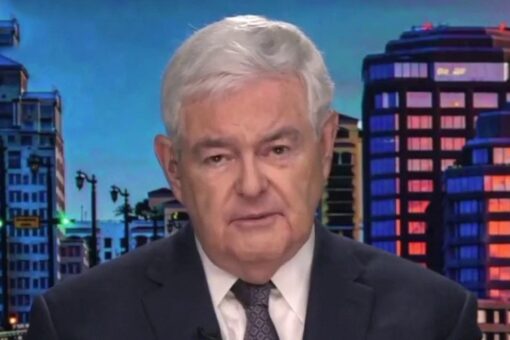 Gingrich: Kamala Harris put in charge of border ‘because they knew she wouldn’t do anything’
