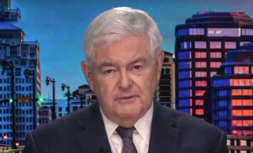 Gingrich: Kamala Harris put in charge of border ‘because they knew she wouldn’t do anything’