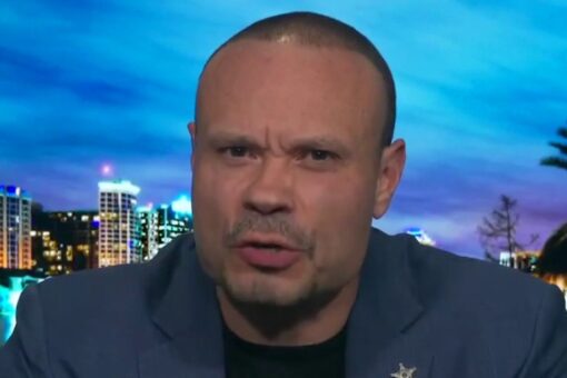 Bongino blasts de Blasio’s liberal agenda on policing: ‘He’s either really dumb or this is a plan’
