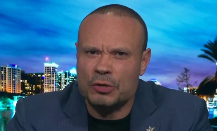 Bongino blasts de Blasio’s liberal agenda on policing: ‘He’s either really dumb or this is a plan’