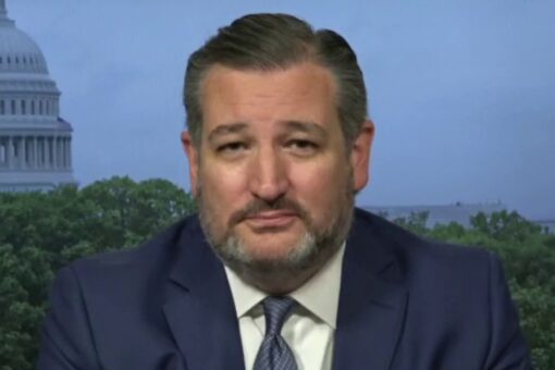 Democrats’ top priority is to change the rules to stay in power, Cruz says