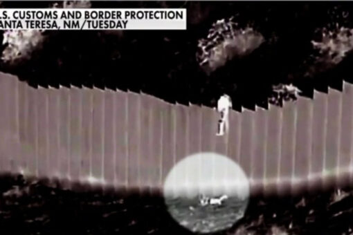 Sisters dropped over border barrier by smugglers in shocking video ‘doing fine,’ Border Patrol officer says