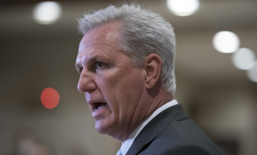 GOP’s McCarthy says VP Harris should attend FBI-CIA terror briefing: ‘I know she hasn’t been to the border’