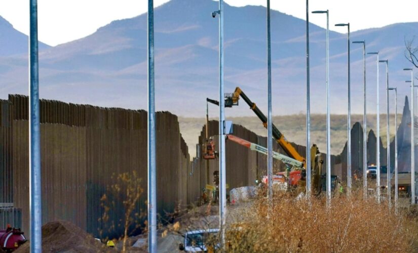 Illegal immigrant, ordered deported but never removed, convicted for child rape in California