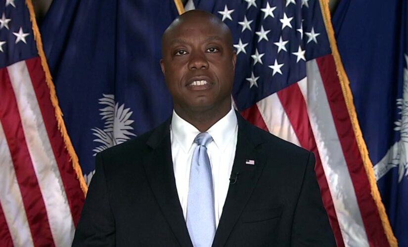 Washington Post reporter: It’s worth noting ‘demographics’ of who praised Tim Scott speech