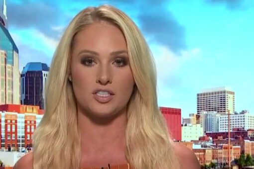 Tomi Lahren blasts ‘vile excuse for a human being’ Maxine Waters for ‘inciting violence’ in Minnesota