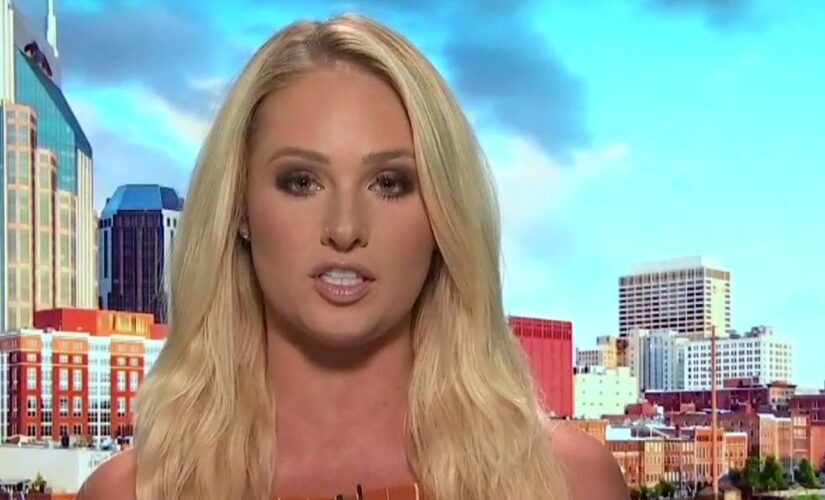 Tomi Lahren blasts ‘vile excuse for a human being’ Maxine Waters for ‘inciting violence’ in Minnesota