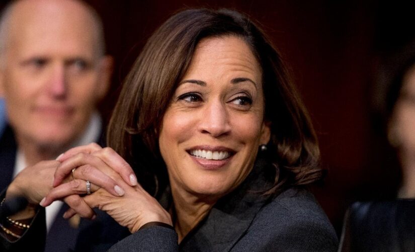 Kamala Harris trip to New Hampshire sparks 2024 White House speculation