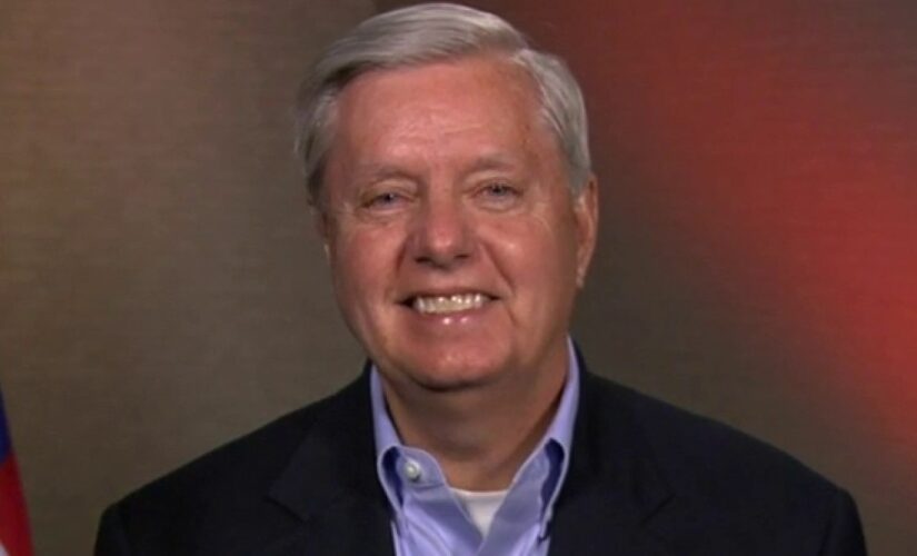 Graham: CEOs attacking Georgia election law ‘are full of crap’ and ‘running scared’