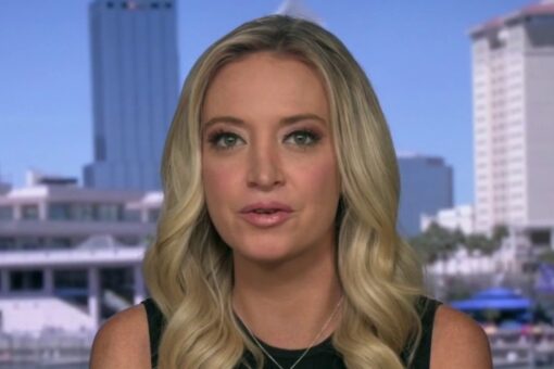 McEnany blasts VP Harris for not visiting border, tossing ‘political grenade’ back to Biden