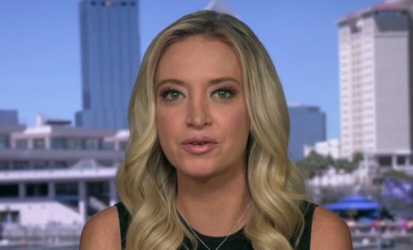 McEnany blasts VP Harris for not visiting border, tossing ‘political grenade’ back to Biden