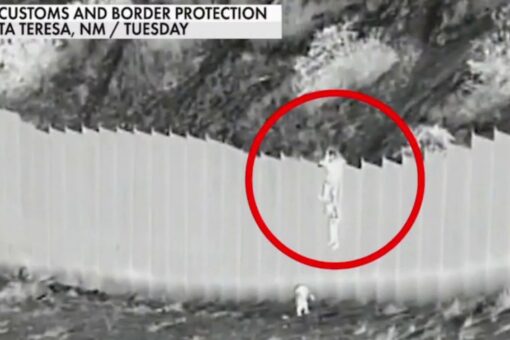 Cotton on border surge: Democrats ‘don’t think this is a crisis’, they think US should be open to world