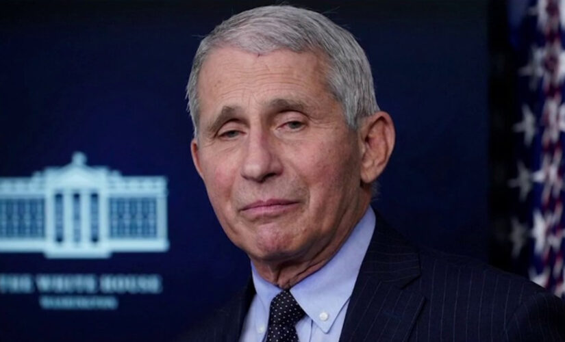 Fauci’s silence on border crisis is deafening, Meadows says