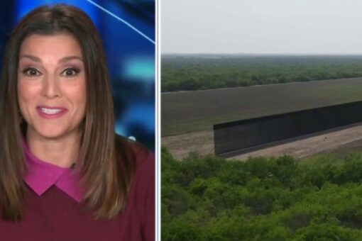 Rachel Campos-Duffy: Drugs, cartel members and gangs coming across the border