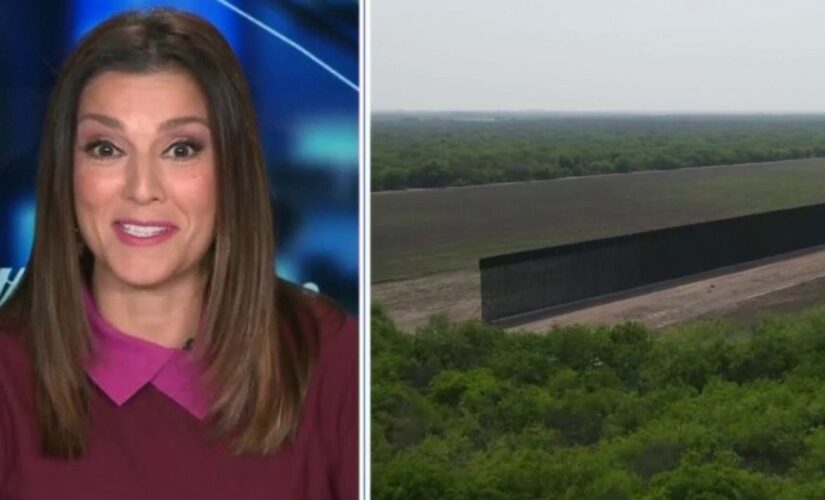 Rachel Campos-Duffy: Drugs, cartel members and gangs coming across the border