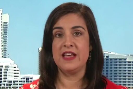 Drug cartels have ‘taken over’ border with agents preoccupied by migrant surge: Malliotakis