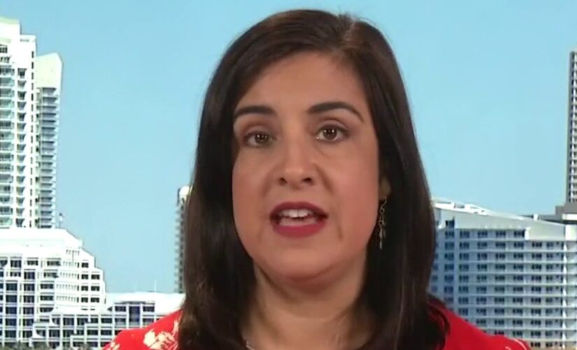 Drug cartels have ‘taken over’ border with agents preoccupied by migrant surge: Malliotakis