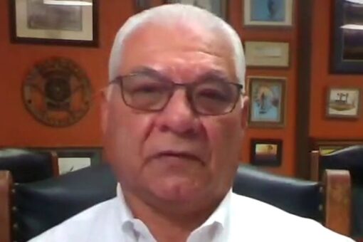 Texas sheriff warns border crisis stretching police resources: ‘We can’t serve our citizens’ the way we need