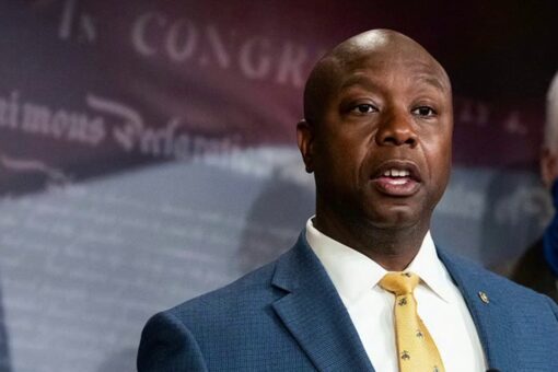 Washington Post crushed for ‘fact check’ on whether Sen. Tim Scott truly went ‘from cotton to Congress’